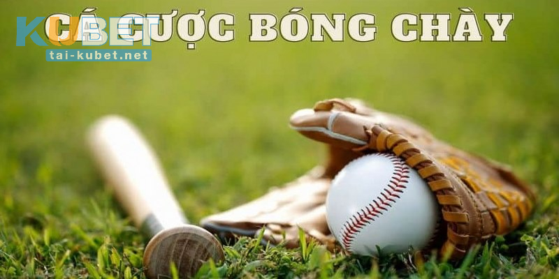 Cá Cược Bóng Chày