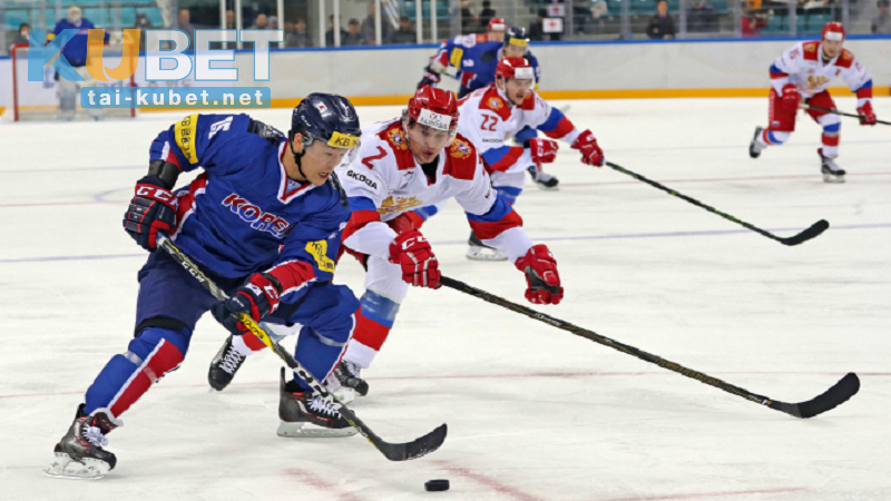 Bí kíp cá cược Hockey trực tuyến luôn thắng