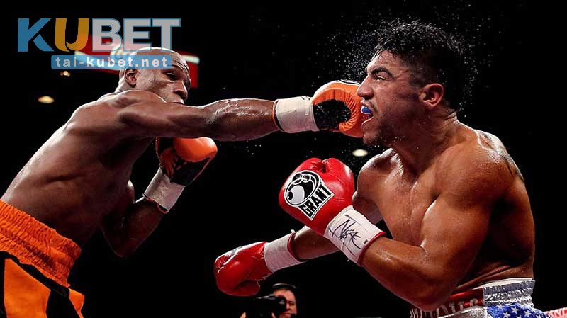 Quyền Anh (Boxing) là gì?