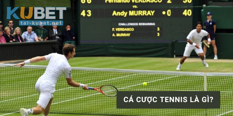 Tìm hiểu cá cược Tennis