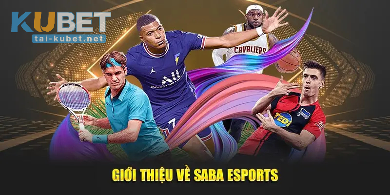 Những ưu điểm vượt trội của SABA Esports
