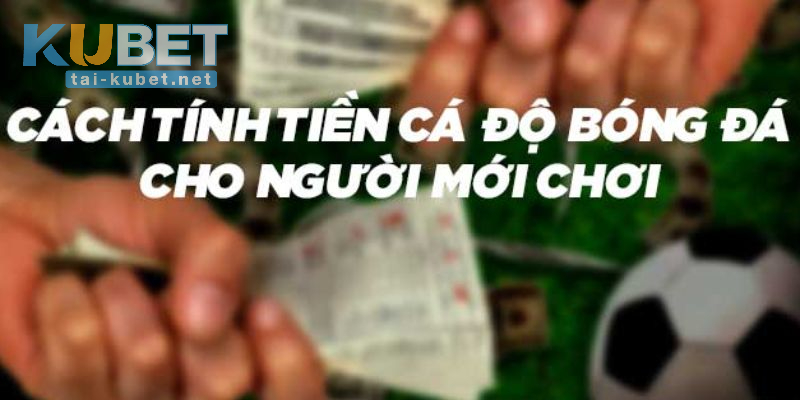 Cách Tính Tiền Cá Độ Bóng Đá