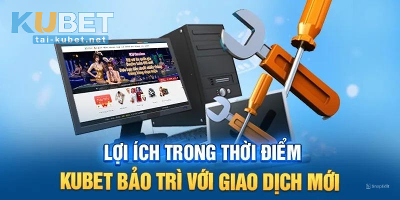 Tầm quan trọng và lợi ích hội viên nhận được khi KUBET bảo trì