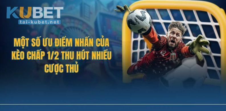 Giới thiệu sơ lược về cách tính kèo 1/2 trong bóng đá