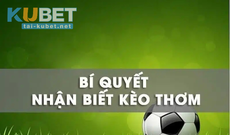 Bí quyết chọn kèo thơm để thắng lớn từ các chuyên gia
