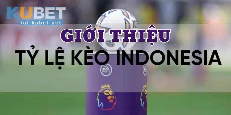 Quy tắc bắt kèo cược Indonesia