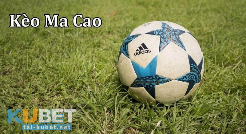 Công thức tính tiền với tỷ lệ cược Macau